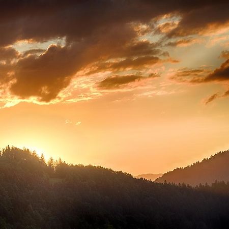 Gostilna Pension Blegos Poljane nad Škofjo Loko Exteriér fotografie