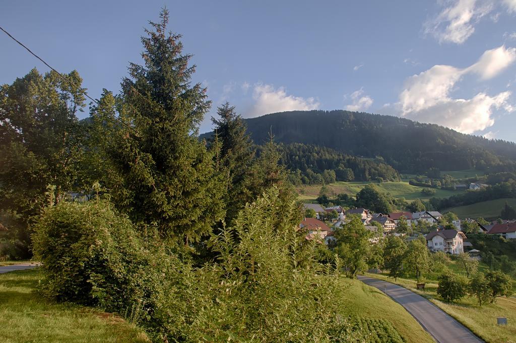 Gostilna Pension Blegos Poljane nad Škofjo Loko Exteriér fotografie