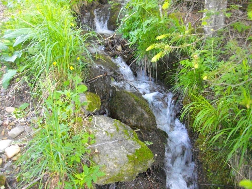 Gostilna Pension Blegos Poljane nad Škofjo Loko Exteriér fotografie