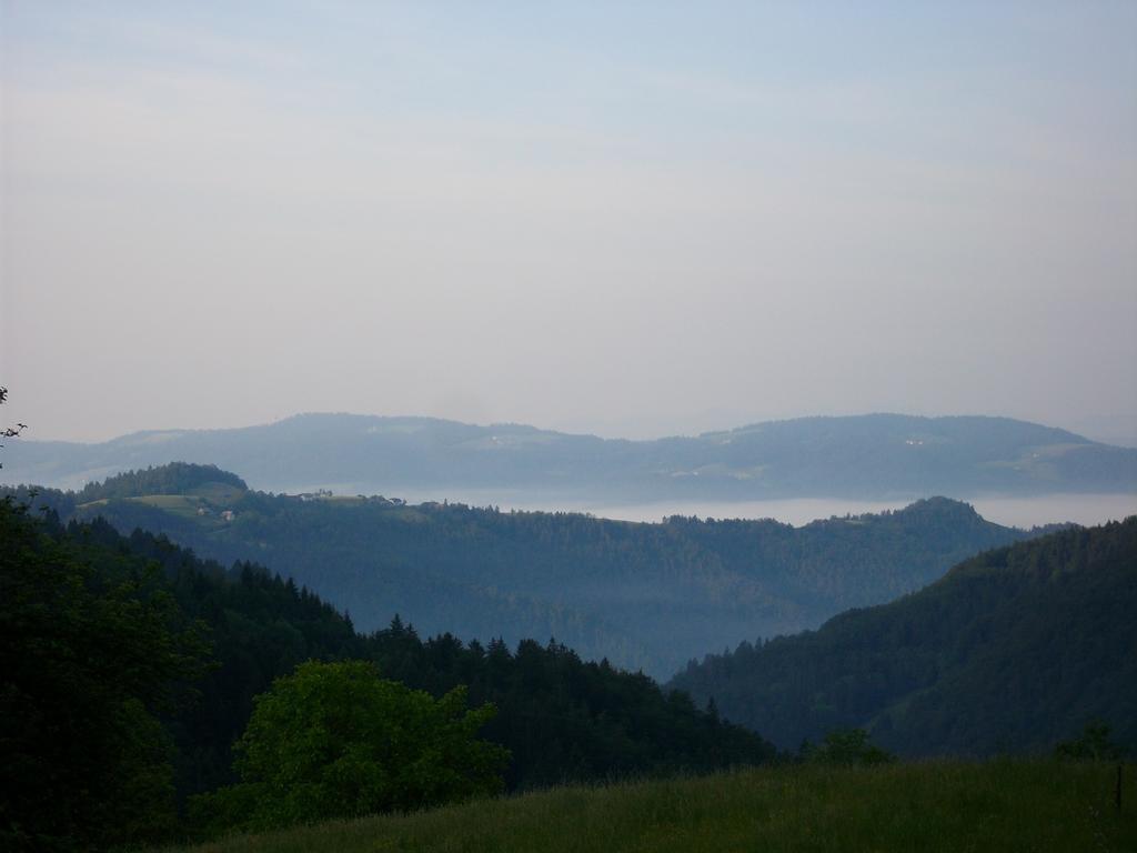 Gostilna Pension Blegos Poljane nad Škofjo Loko Exteriér fotografie